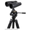 Nature DX **ED** 12 x 50 binocular Nature DX **ED** 12 x 50 binocular