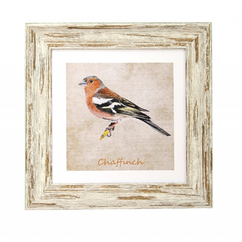 Garden Birds Chaffinch DB Wash 7x7 Garden Birds Chaffinch DB Wash 7x7