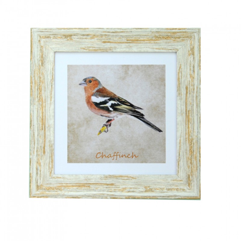 Garden Birds Chaffinch LB Wash 7x7