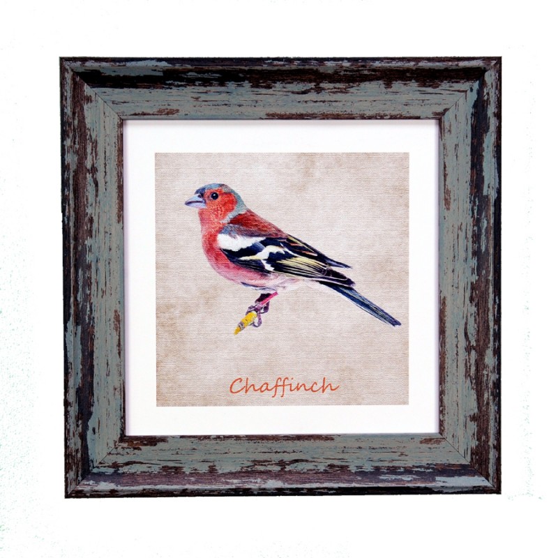 Garden Birds Chaffinch Blue 7x7 Garden Birds Chaffinch Blue 7x7