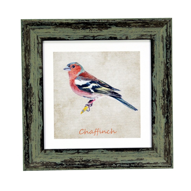 Garden Birds Chaffinch Green 7x7 Garden Birds Chaffinch Green 7x7