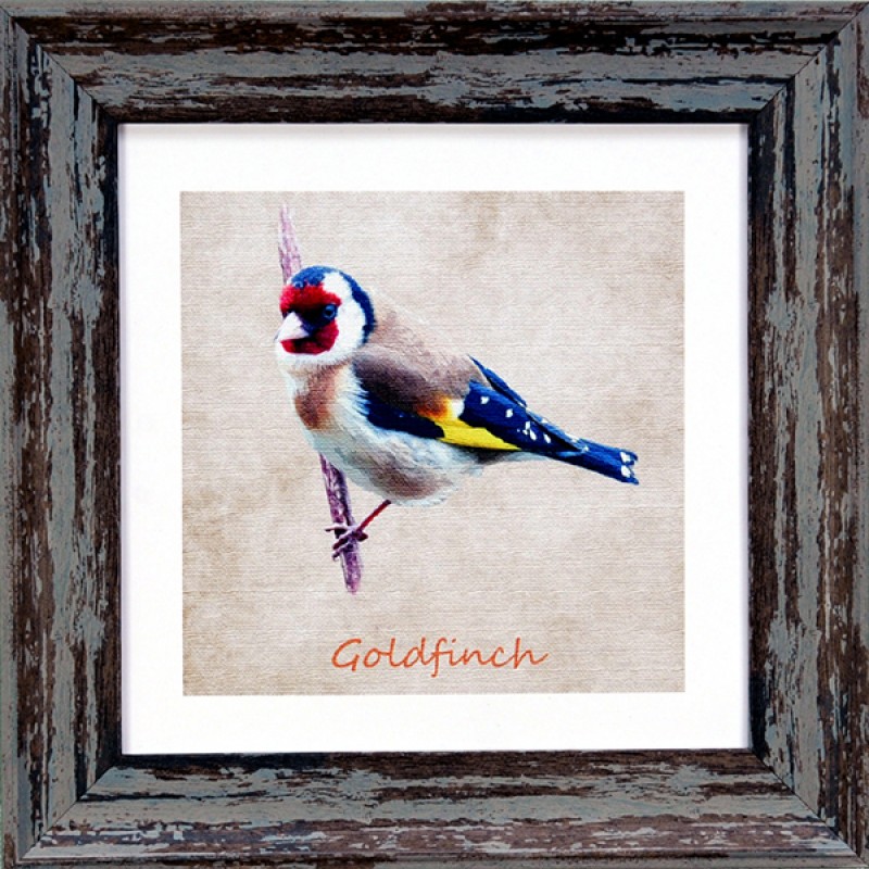 Garden Birds Goldfinch Blue 7x7