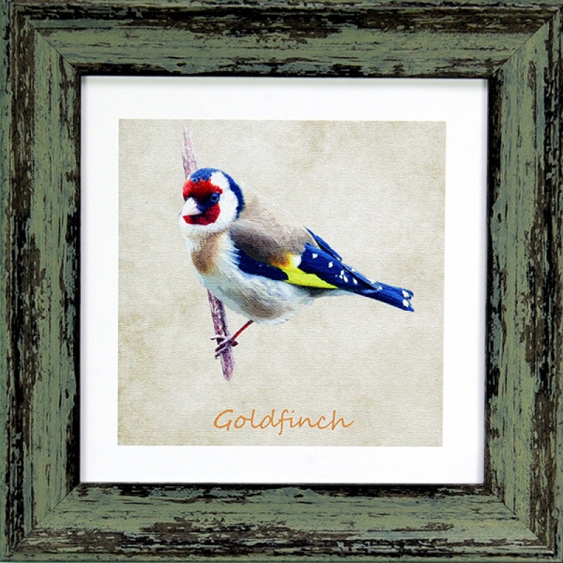 Garden Birds Goldfinch Green 7x7 Garden Birds Goldfinch Green 7x7