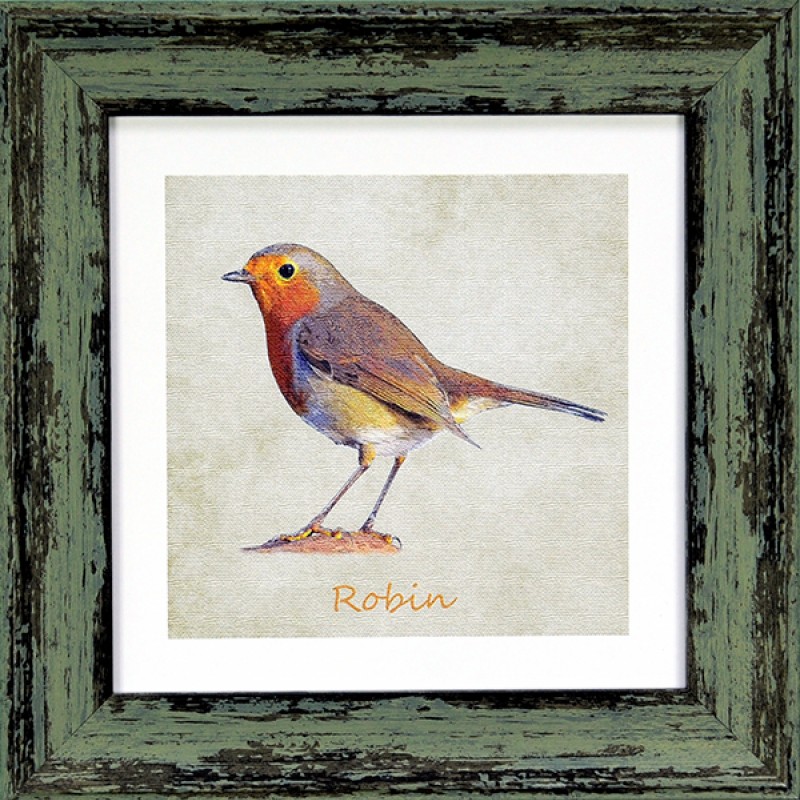 Garden Birds Robin Green 7x7 Garden Birds Robin Green 7x7