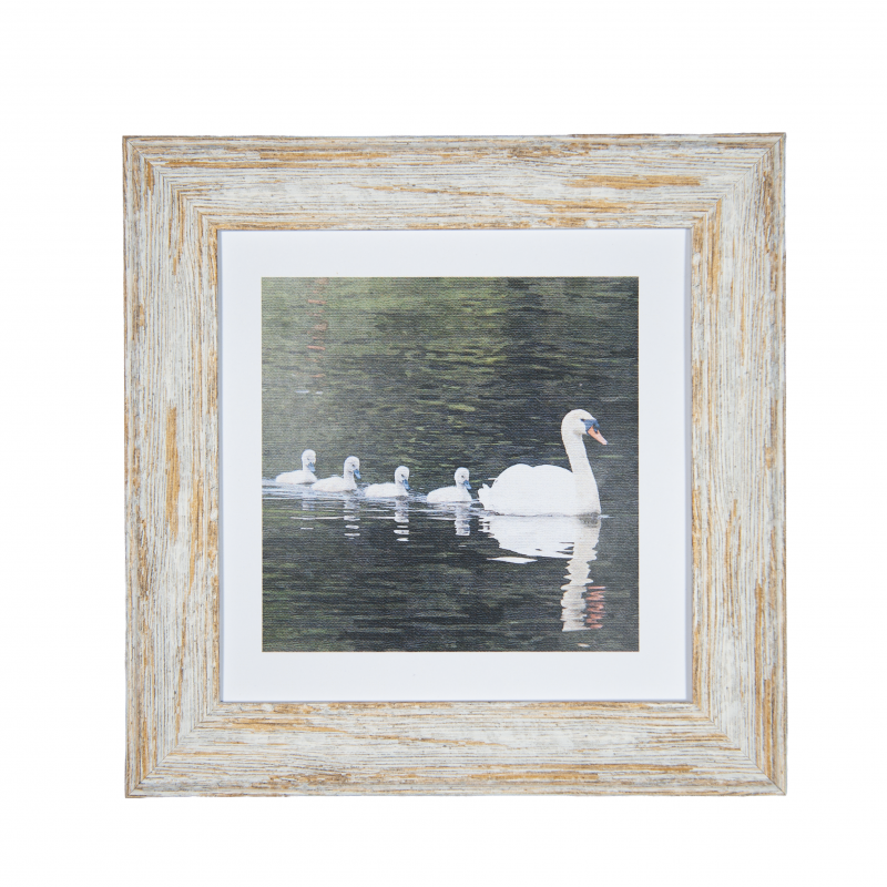 Wildlife S2 SWAN 7x7 Light Brown